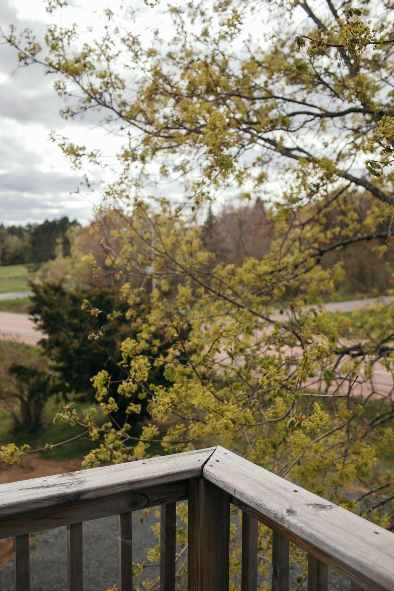 Seagull Bay Motel Bayfield Chambre photo